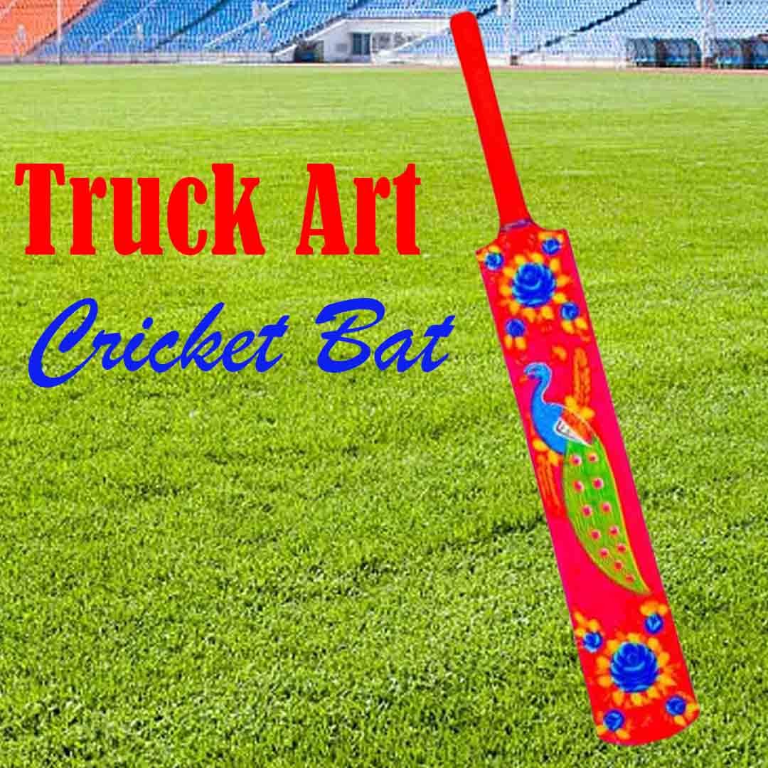Front view of Pakistani Truck Art Cricket Bat