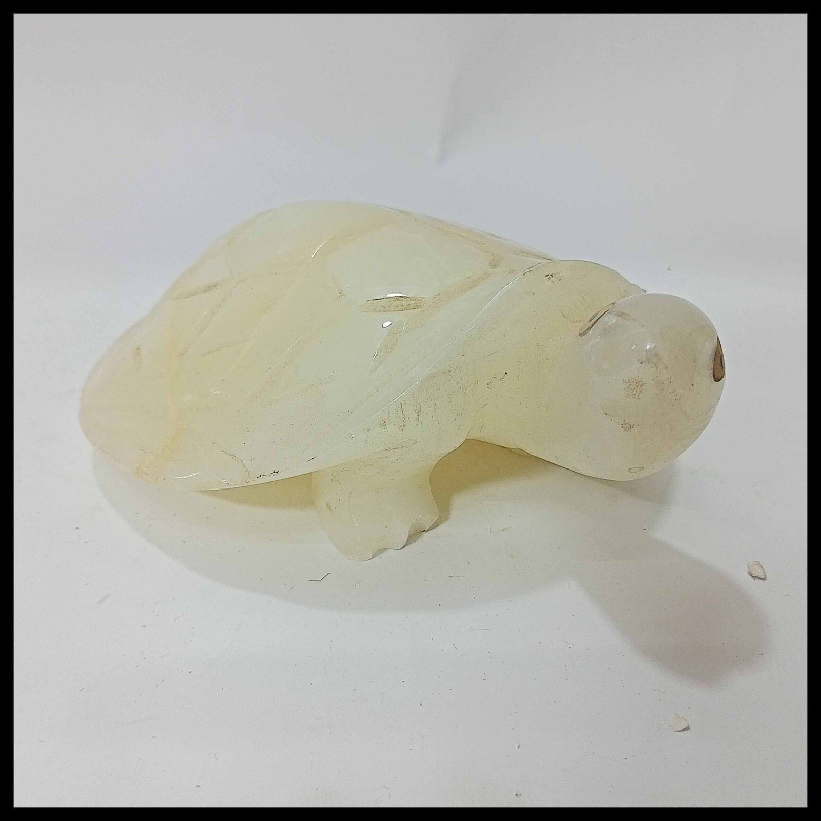 Onyx Turtle (Size : 15 cm) - Image 5