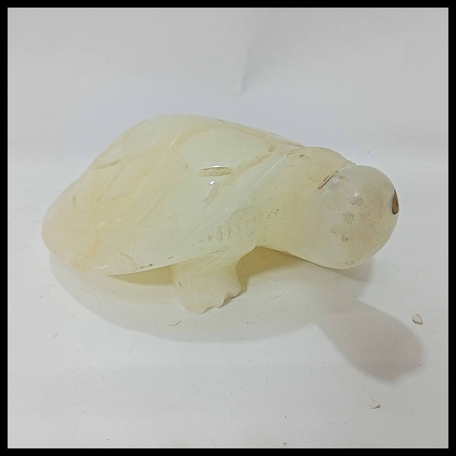 Onyx Turtle (Size : 15 cm) - Image 4