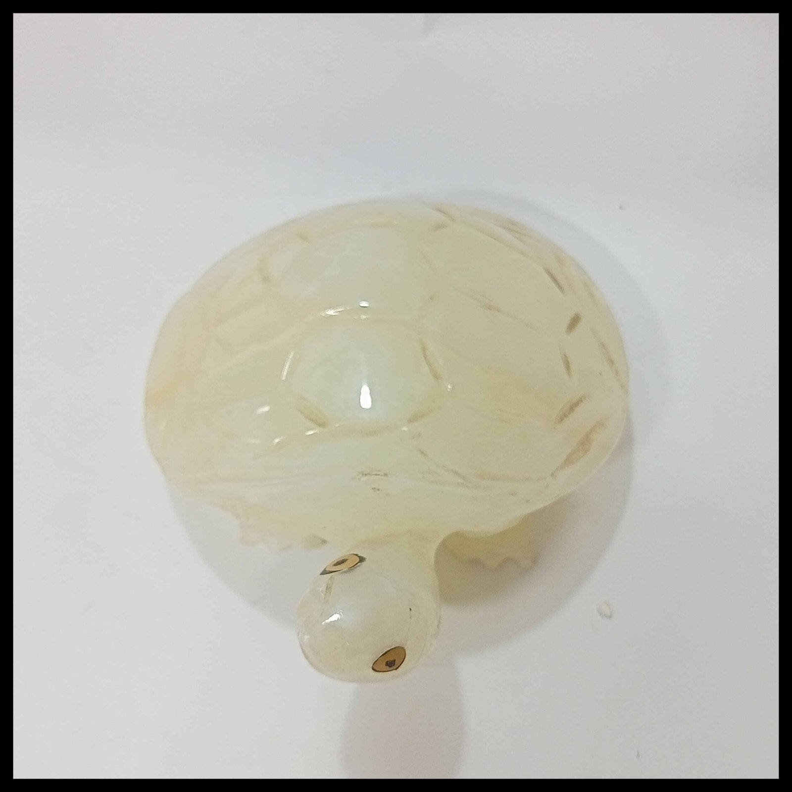 Onyx Turtle (Size : 15 cm) - Image 2