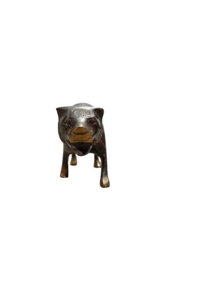 Brass Leopard Jarrah (Size:15 cm) - Image 3