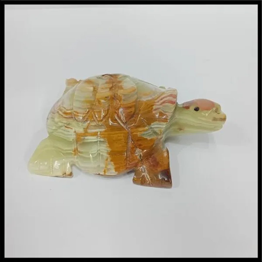 Onyx Turtle (Size : 15 cm) - Image 3