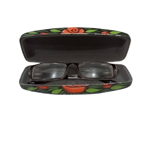 Inside view of painted glasses case