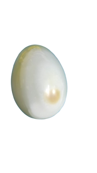 Onyx Egg/Pakistani Handcrafted Marble Egg - Image 4